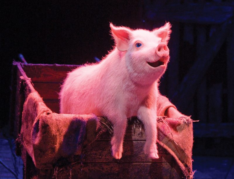 Betty Blue Eyes, London